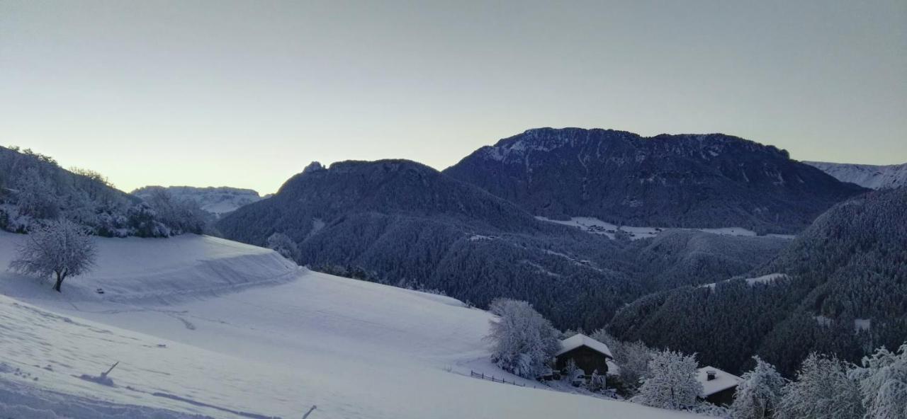 Alpine Chalet Aurora Dolomites ライオーン エクステリア 写真
